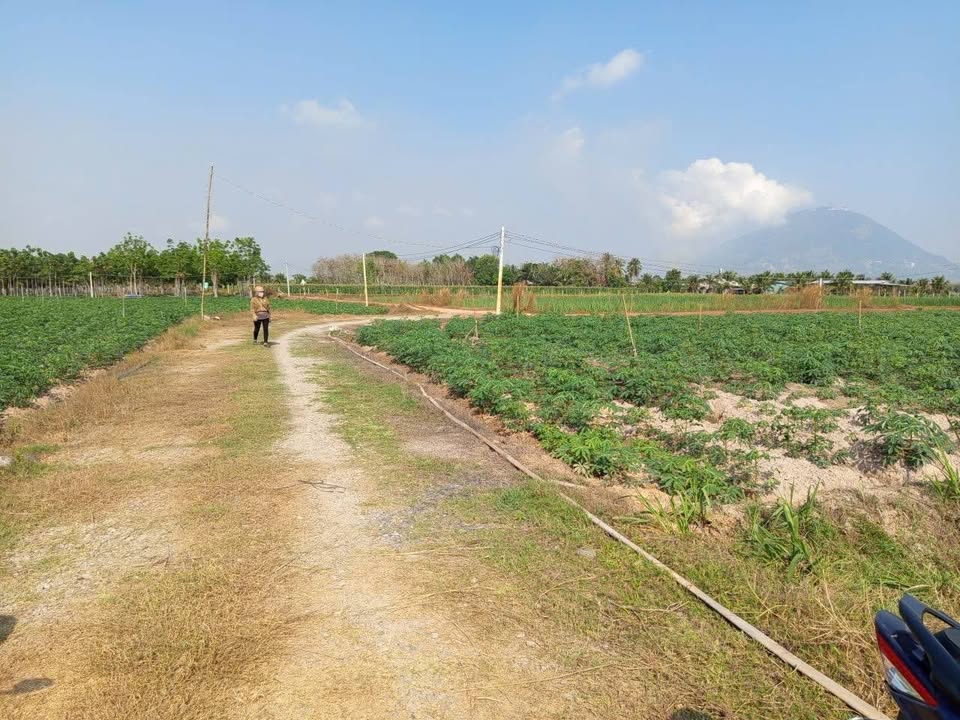 Đất nền 2 công 1 gần KCN Chà Là DMC Tây Ninh - Giá chỉ 550 triệu