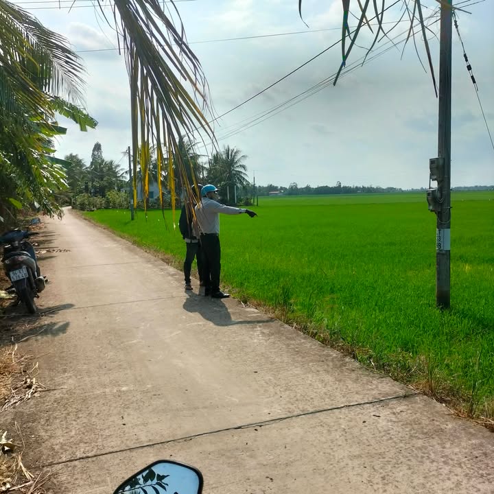 Đất mặt tiền Ấp Béc Hen, xã Lợi An, Cà Mau 11310m² - Cơ hội đầu tư tuyệt vời!