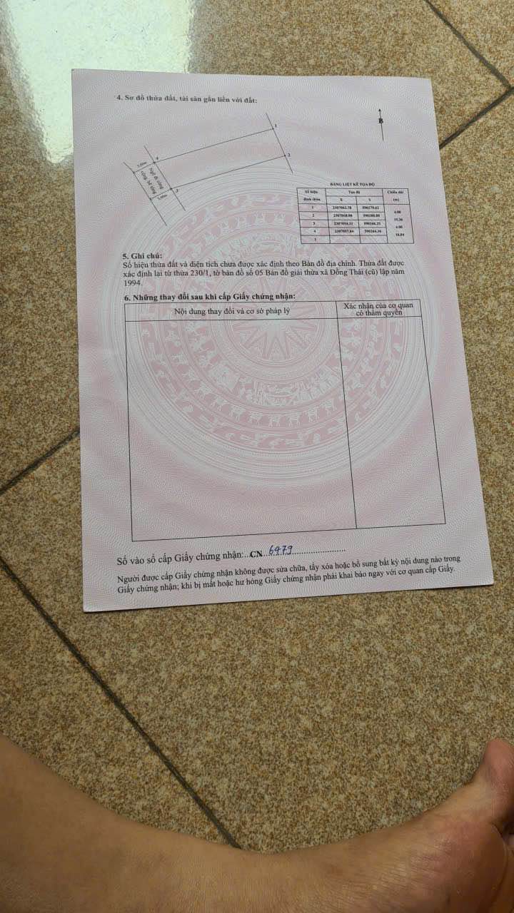 Đất nền 62,3m² tại Phường Đồng Thái, Quận An Dương - Cơ hội đầu tư hấp dẫn!