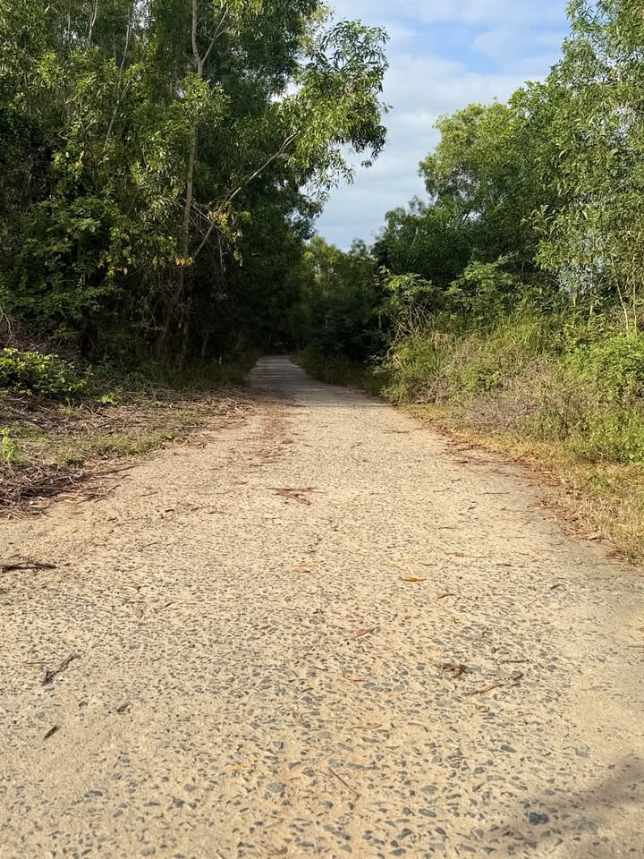 Đất nền Cam Hải Đông - Cam Lâm 3001m² giá chỉ 510.17 triệu - Đầu tư sinh lời ngay!