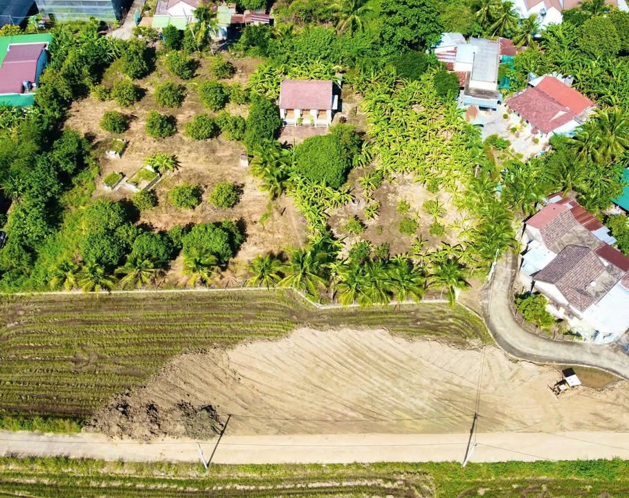 Đất thổ cư Huyện Diên Khánh 100.5m² giá 950 triệu - Sổ hồng đầy đủ, xây dựng ngay!