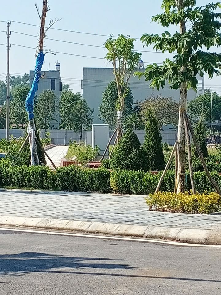 Lô đất Phường Mỹ Độ, Bắc Giang 91m² giá chỉ 3 tỷ - Cơ hội đầu tư hấp dẫn!