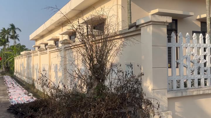 Đất nền Xã Hải Lộc, Huyện Hải Hậu 600m² - Phòng thủy đẹp, giá đầu tư hấp dẫn!