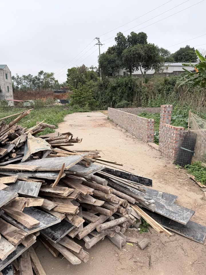 Đất nền Phường Liên Bảo, Vĩnh Yên 83.5m² giá 1.6 tỷ - Đường ô tô vào tận đất!