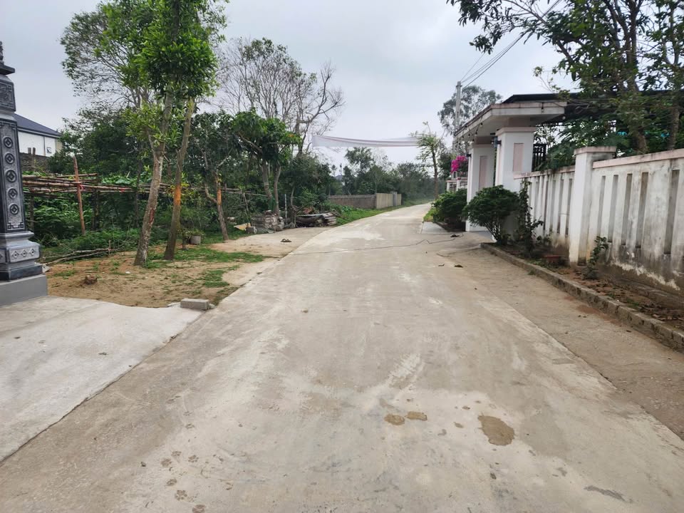 Đất nền 200m² khối Thái Phúc, Nghi Thái giá 2.31 tỷ - Hướng Tây Bắc, gần chợ Mộc!