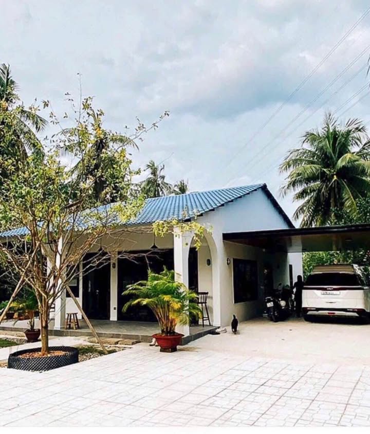 Đất vườn sầu riêng và nhà cấp 4 Quận 4, 3000m² chỉ 468 triệu - Cơ hội đầu tư tuyệt vời!