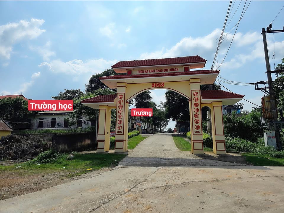 Đất nền Thôn Hạ, Xã Ngọc Mỹ, Lập Thạch 80m² giá chỉ từ 200 triệu - Cơ hội đầu tư hấp dẫn!