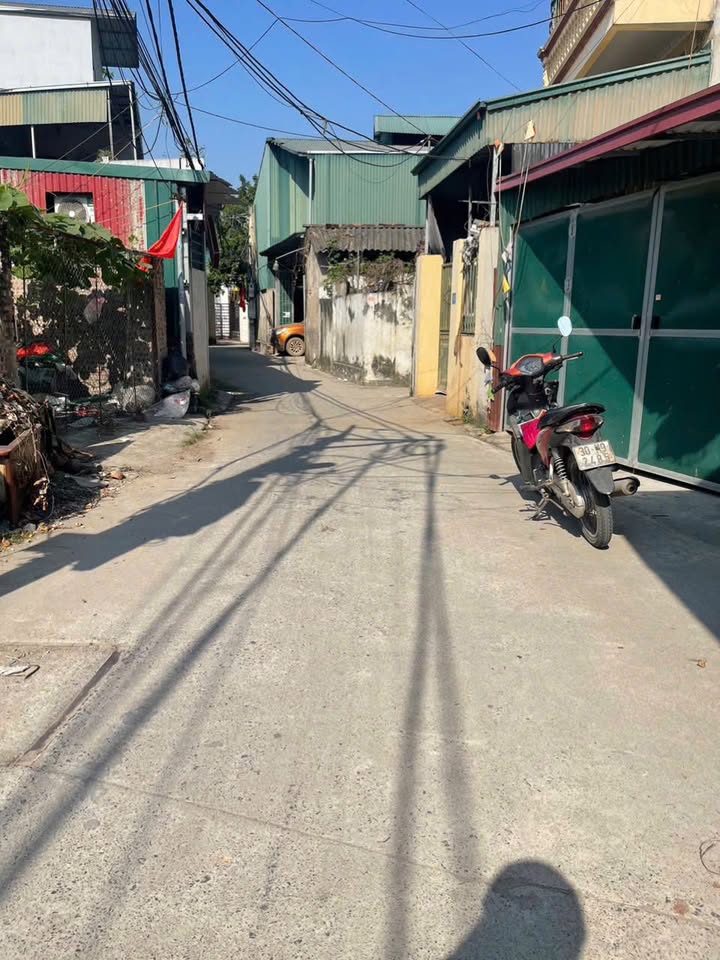 FrontHouse đường trục chính Tam Hưng 56m² - Đầu tư kinh doanh lý tưởng!