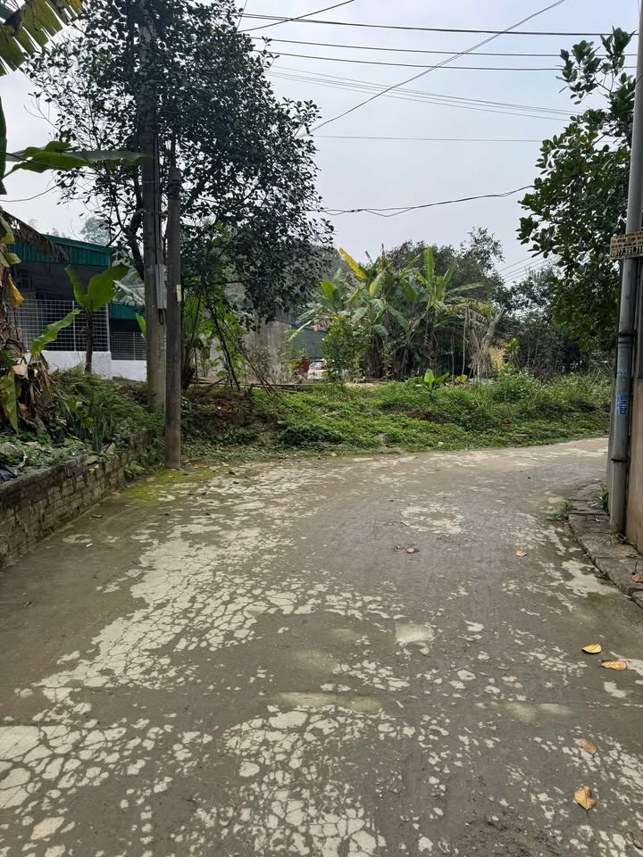 Đất nền Phường Đồng Tâm 78m² giá 799 triệu - Đầu tư ngay hôm nay!