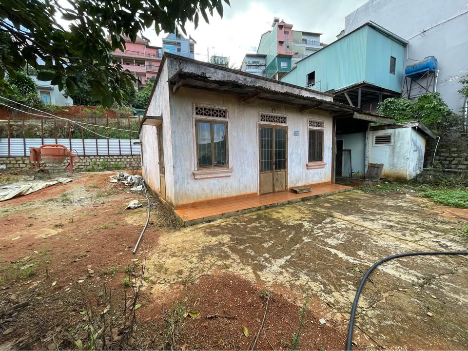 Đất nền 900m² tại Xã Xuân Trường, Đà Lạt - Gần điện máy xanh, giá thỏa thuận!