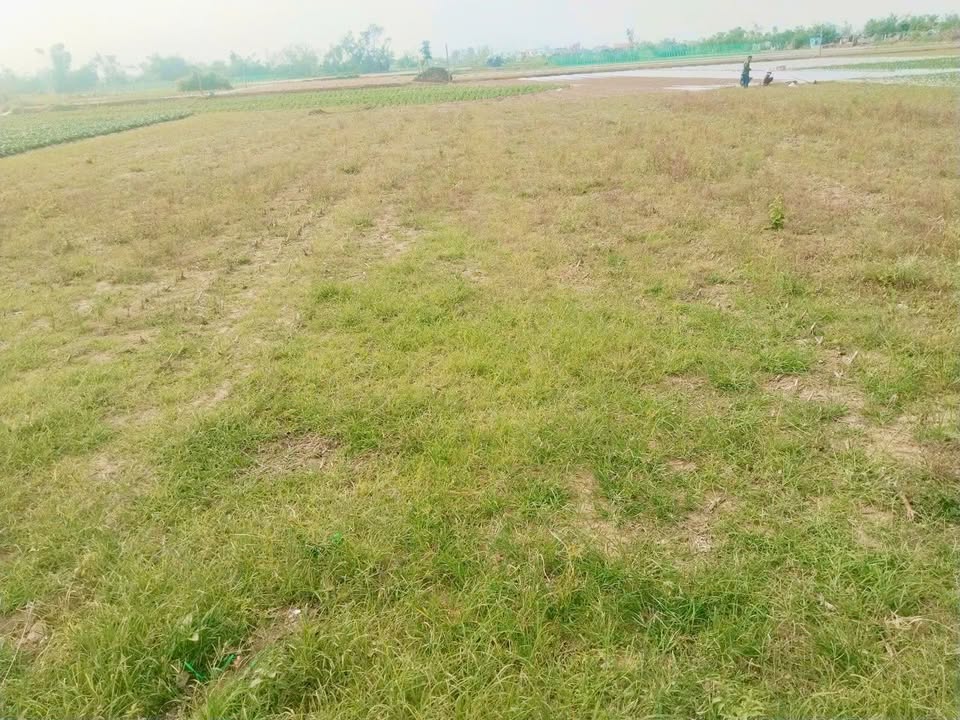 Đất vườn Lục Lễ, Phước Hiệp 1.400m² giá chỉ 400 triệu - Cơ hội đầu tư tuyệt vời!