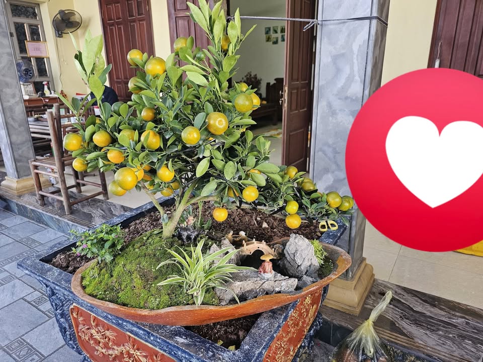 Đất nền mặt đường 38, xã Đại An, huyện Vụ Bản, 100m² - Kinh doanh sầm uất!