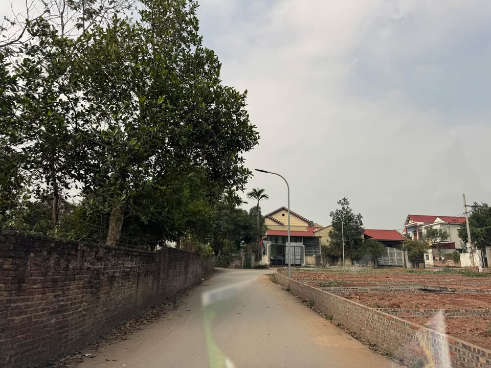 Đất thổ cư trung tâm xã Cẩm Khê 108m² giá 1 tỷ - Cơ hội đầu tư hấp dẫn!