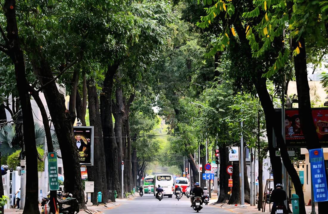 Mặt phố Lò Đúc, Quận Hai Bà Trưng, 200m² - Đầu tư sinh lời cao!