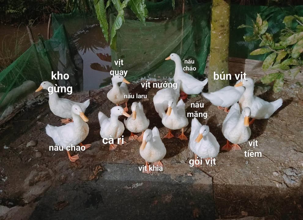 Căn hộ Cc Ruby Thanh Hóa 79.35m² giá rẻ nhất tòa - Sổ đỏ chính chủ