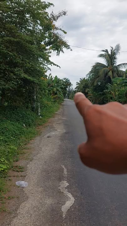 Đất nền Mỹ Hòa, Ba Tri, 2700m² giá 3.9 tỷ - Cơ hội đầu tư sinh lời!