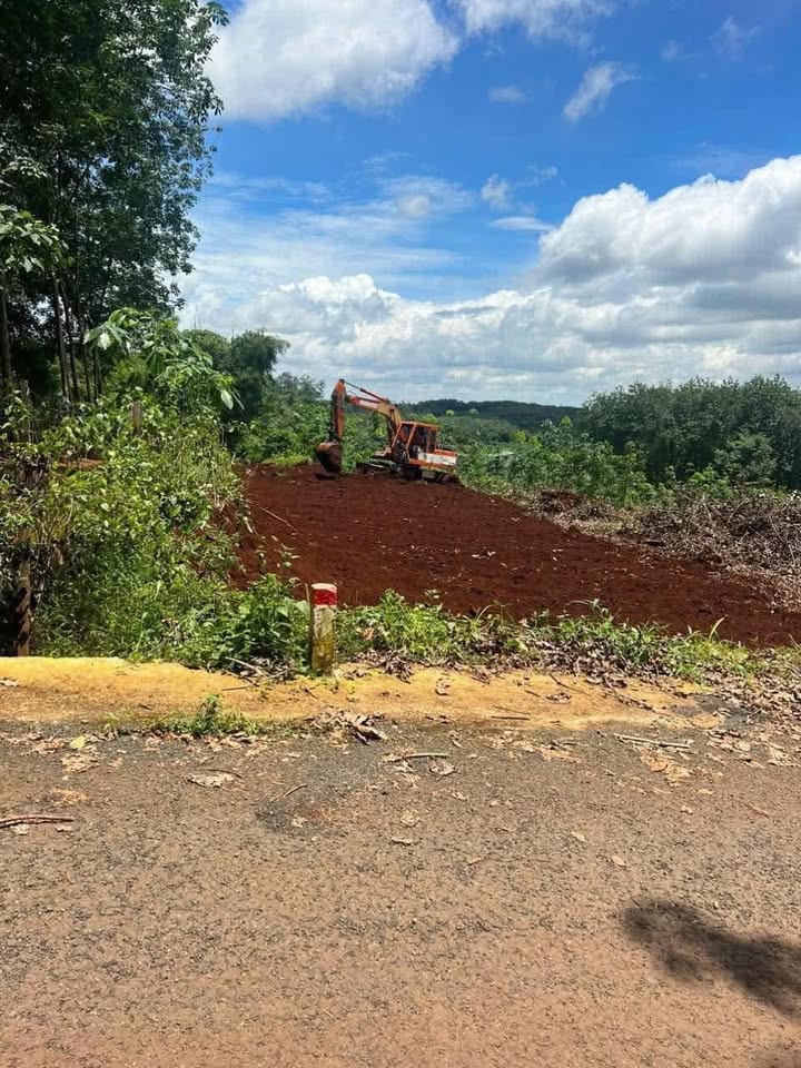 Bán đất 3600m² mặt tiền nhựa Ấp 7 Lộc Thuận chỉ 250 triệu - Cơ hội đầu tư vàng!