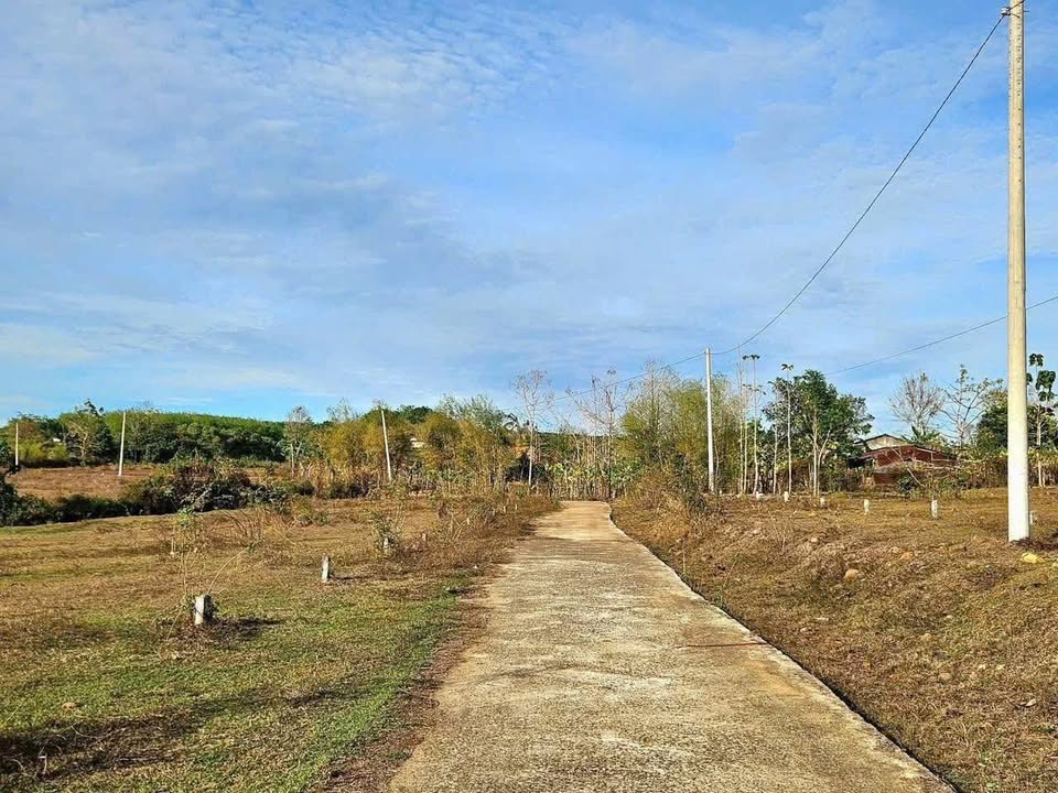 Đất nền 360m² tại Lộc Hưng, Lộc Ninh chỉ 250 triệu - Cơ hội đầu tư tuyệt vời!