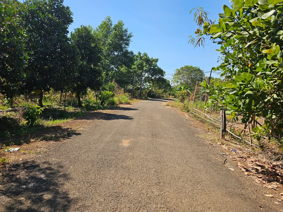 Đất nền thổ cư 2550m² tại Tân Thành - Giá chỉ 480 triệu - Cơ hội đầu tư hấp dẫn!