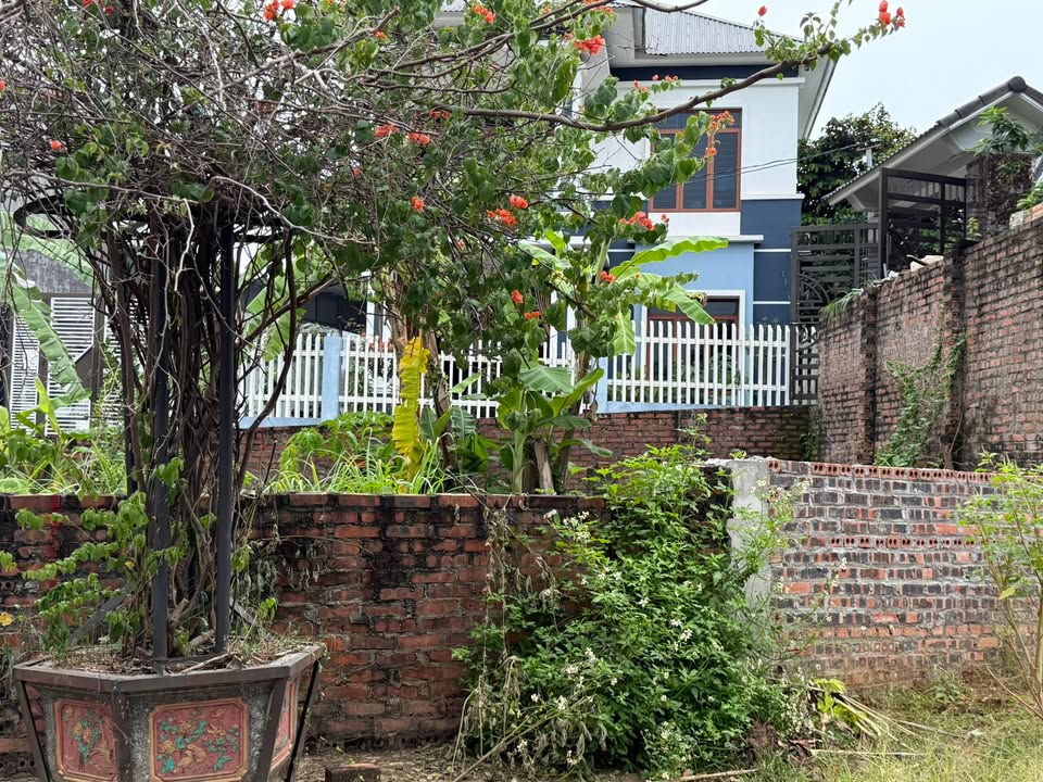 Đất nền Khu 14 Thanh Miếu 68m² giá thỏa thuận - Vị trí đắc địa gần nhiều cơ quan nhà nước!