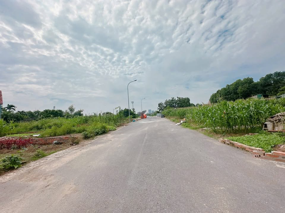 Đất mặt tiền khu Đoàn Chèo, Dữu Lâu 102m² giá 4 tỷ - Đường lớn, tiện ích đầy đủ!