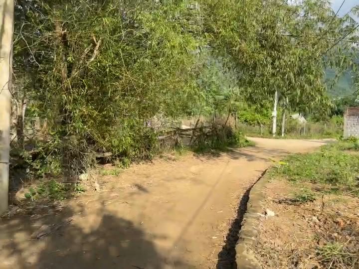 Đất nền Xã Hòa Bắc, Huyện Hòa Vang 284m² - View suối tuyệt đẹp!