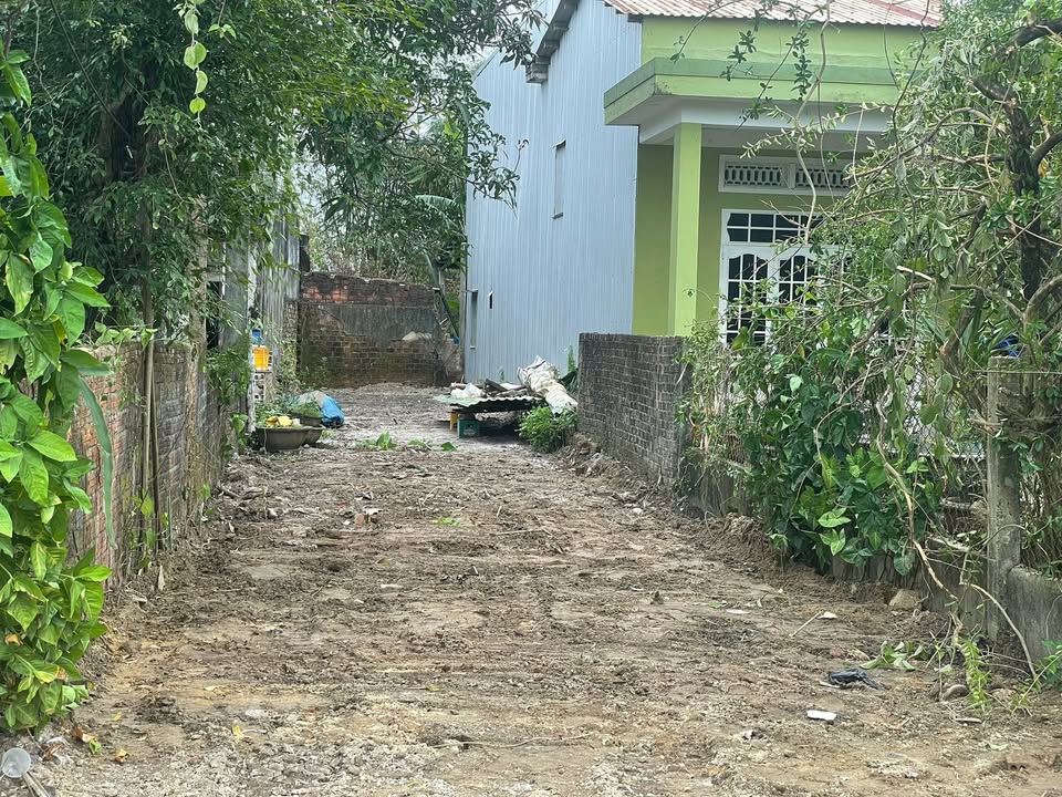 Đất nền Dương Sơn, Hòa Châu 80m² giá 1.9 tỷ - Đường thông vi vu!