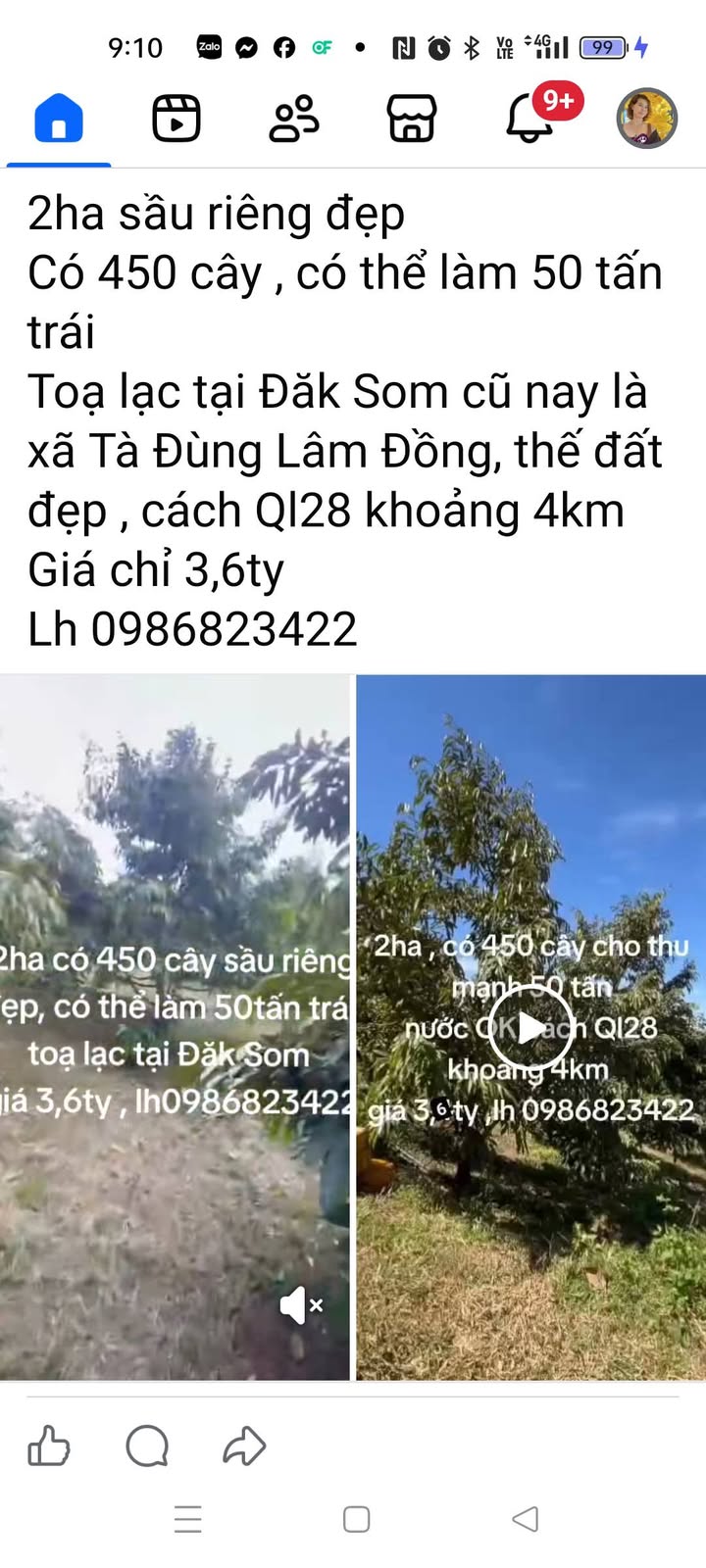 Farm sầu riêng 2ha tại xã Tà Đùng, Lâm Đồng giá 3.6 tỷ - Cơ hội đầu tư hấp dẫn!