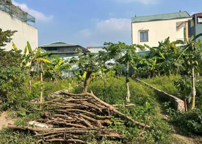 Đất Thịnh Lang Hòa Bình 92.8m² giá 1 tỷ - Pháp lý rõ ràng!