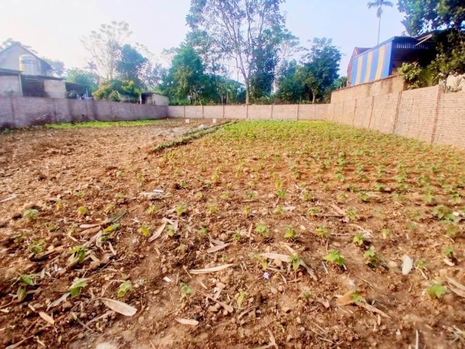 Đất thổ cư 720m² tại Thôn 9, Ba Trại, 3 tỷ - Cơ hội đầu tư hấp dẫn!