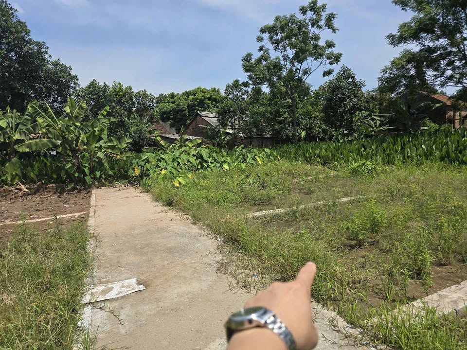 Đất thổ cư tại Xã Thanh Mai, Huyện Thanh Oai 46m² giá 1 tỷ - Cơ hội đầu tư lý tưởng!