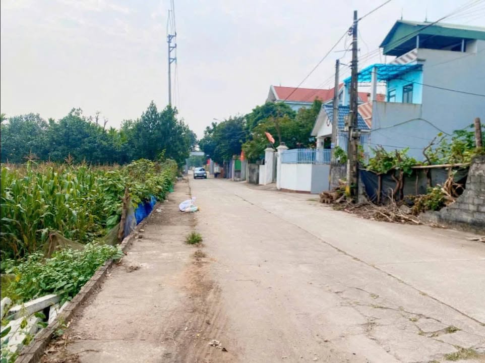 Lô đất Phúc Thọ 100m² giá 3 tỷ - Đầu tư sinh lời hiếm có!