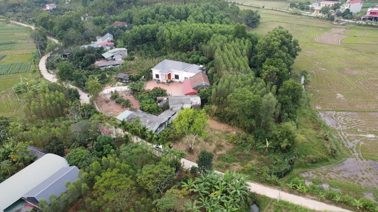 Đất thổ cư 170m² tại thôn Đìa, Yên Thế, Bắc Ninh chỉ 400 triệu - Cơ hội đầu tư hấp dẫn!