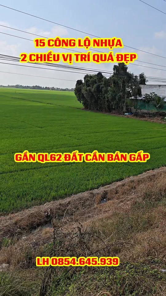 Đất mặt tiền Quốc lộ 62, Mộc Hóa 15.000m² - Bán gấp giá tốt!