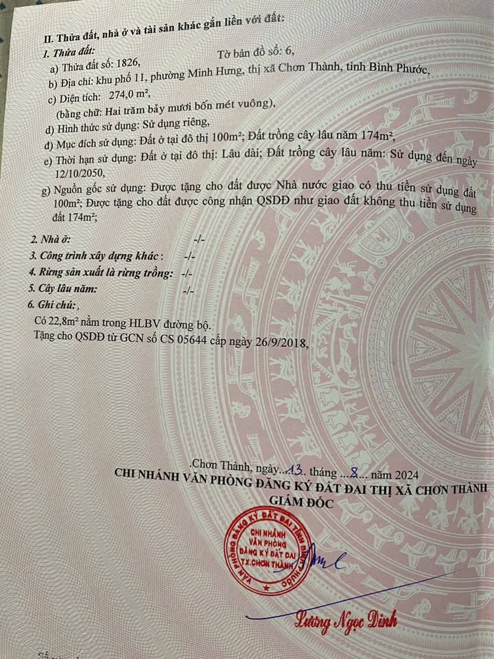 Đất nền thổ cư đường số 42, xã Tân Hưng, huyện Bàu Bàng - Giá chỉ 600 triệu VND!