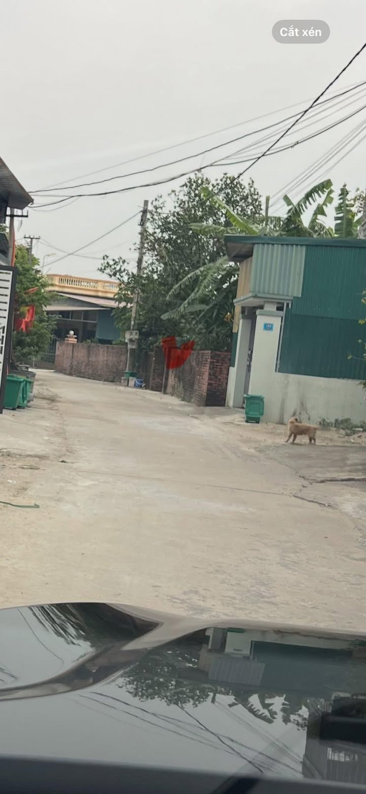 Đất nền góc 2 mặt tiền Hải Xuân 80m² giá 1.1 tỷ - Sổ hồng chính chủ