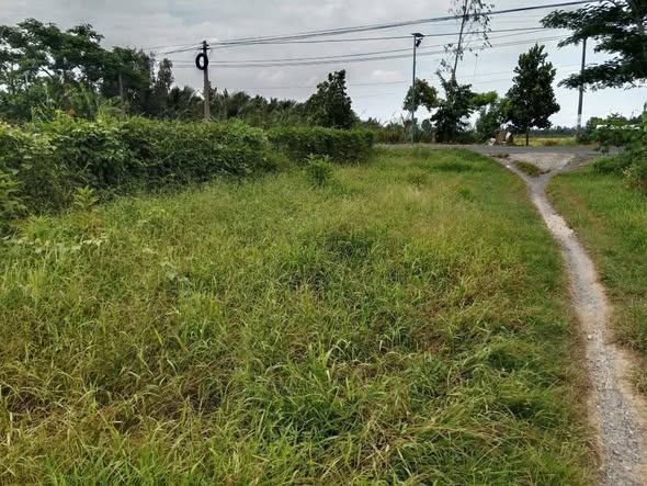 Đất nền 168m² xã Tân An Hội, Vĩnh Long chỉ 470 triệu - Đầu tư sinh lời ngay!