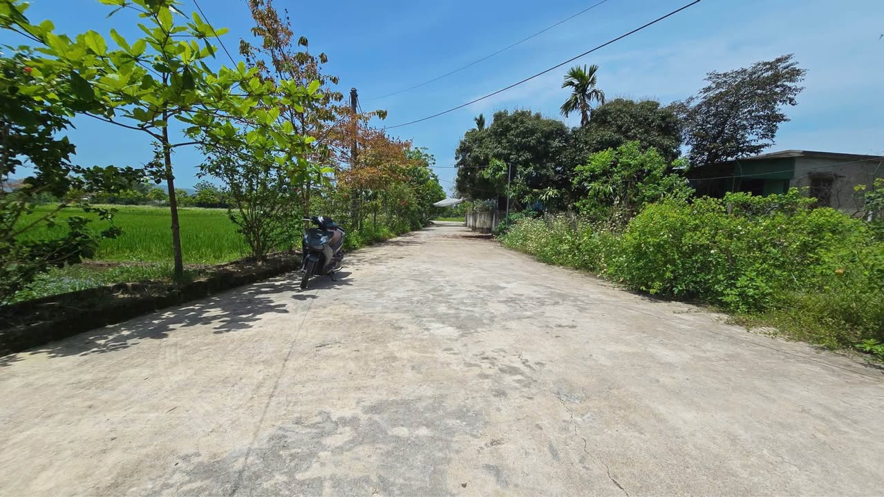 Đất thổ cư tại Thôn Thống Nhất, Xã Thạch Đài, 215m² giá 1.5 tỷ - Cơ hội đầu tư tuyệt vời!