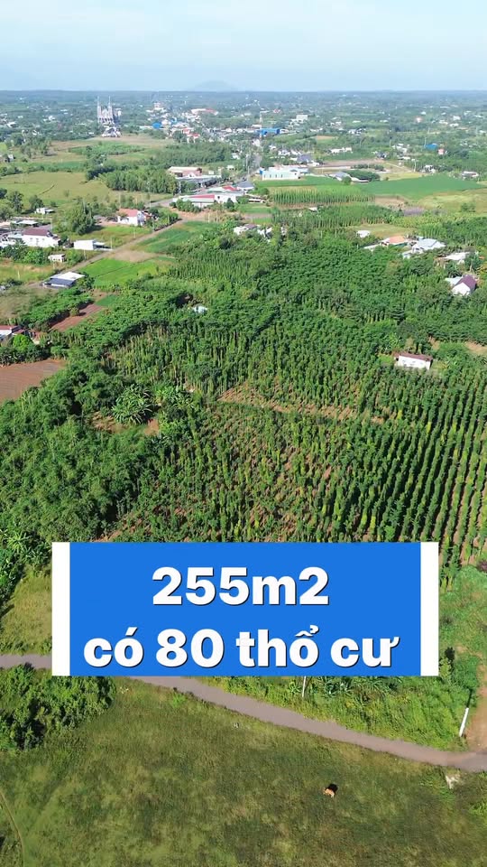 Đất nền 255m² tại Xã Nghĩa Thành - Giá chỉ 750 triệu - Đầu tư lý tưởng!