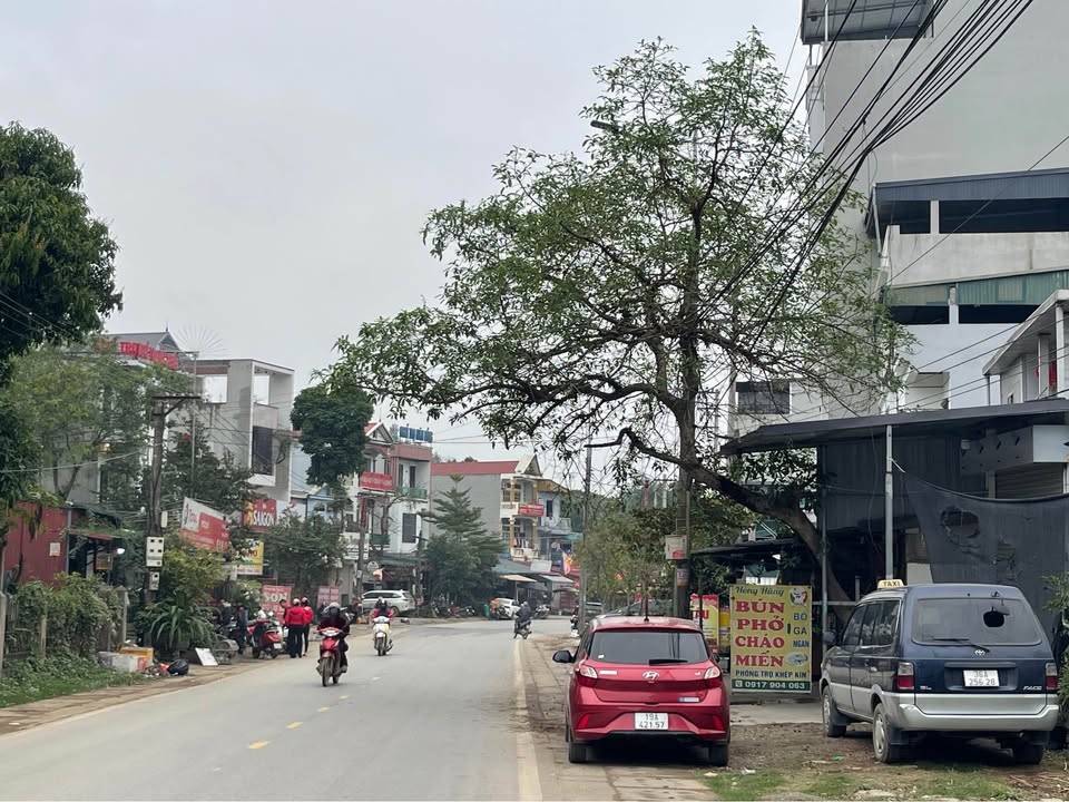 Đất thổ cư 100m² tại đường 315, Huyện Tam Nông - Giá 2 tỷ, vị trí đắc địa!