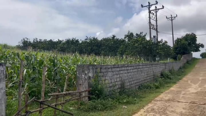 Đất nền 1000m² tại Lương Sơn, Hòa Bình - Giá chỉ 1 tỷ, đầu tư sinh lời!