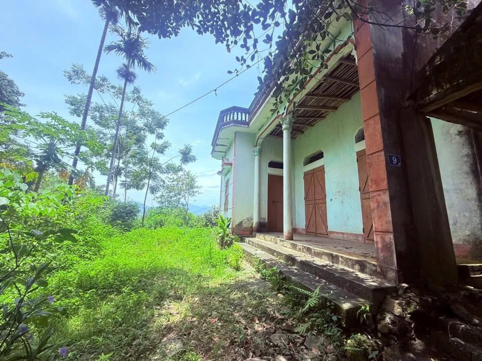 Đất nền Huyện Ba Vì 2050m² giá 2.152 tỷ - Đường ô tô, view cánh đồng tuyệt đẹp!