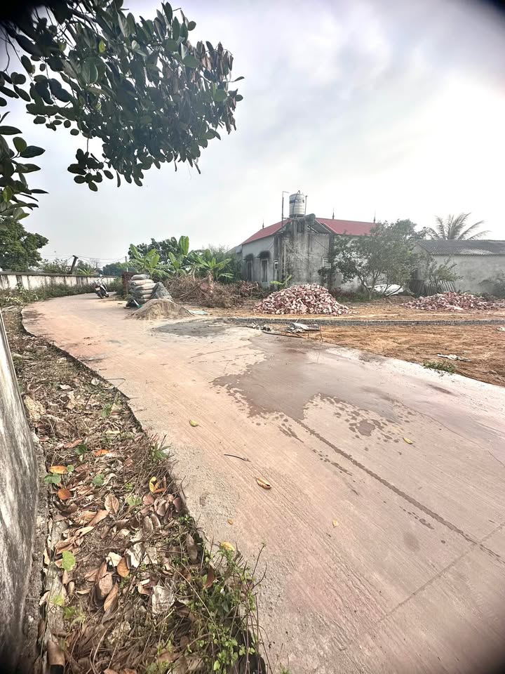 Đất nền tại xã Cao Xá, huyện Tân Yên, Bắc Giang 240m² giá 900 triệu - Bán gấp trước Tết!