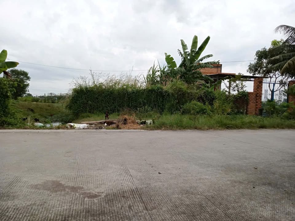 Đất thổ cư mặt đường số 3 Hòa Khánh Đông 610m² giá 2.65 tỷ - Cơ hội đầu tư tuyệt vời!