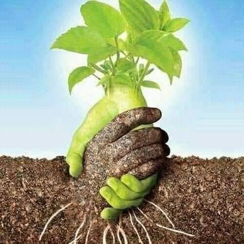 Nhà hẻm 19 Đường Số 27, Phường 6, Gò Vấp 50m² giá 4.58 tỷ - Bán gấp chính chủ!