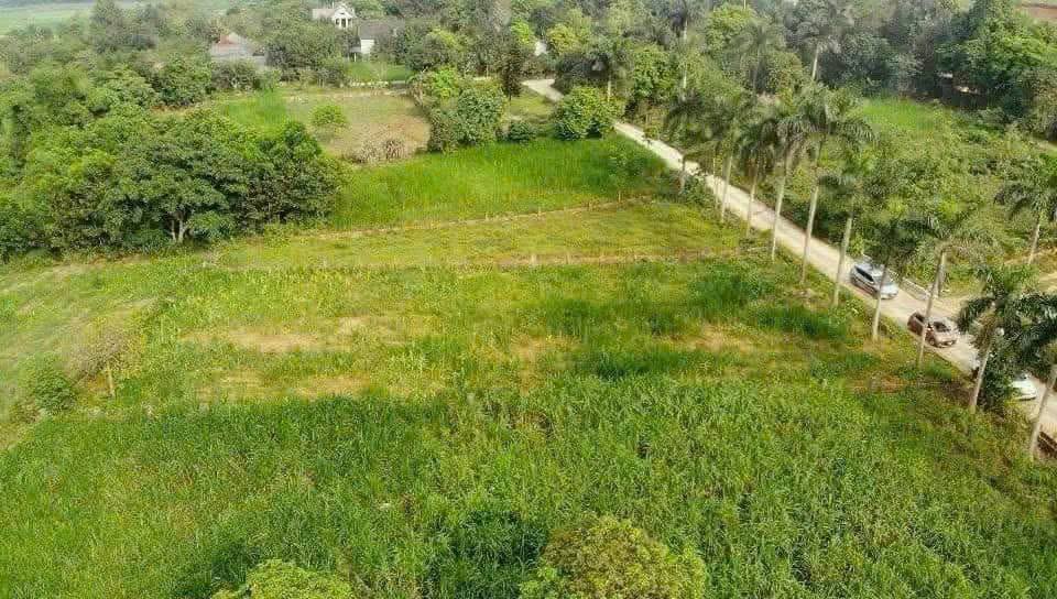 Đất nền Yên Bài Ba Vì 1600m² giá thỏa thuận - Cơ hội đầu tư tuyệt vời!