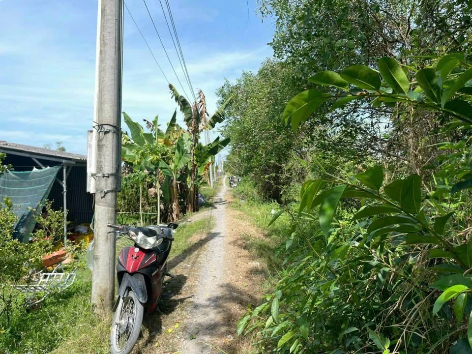 Bán đất vườn 39.000m² tại xã Tân Phước, huyện Lai Vung - Giá chỉ 6.045 tỷ VND