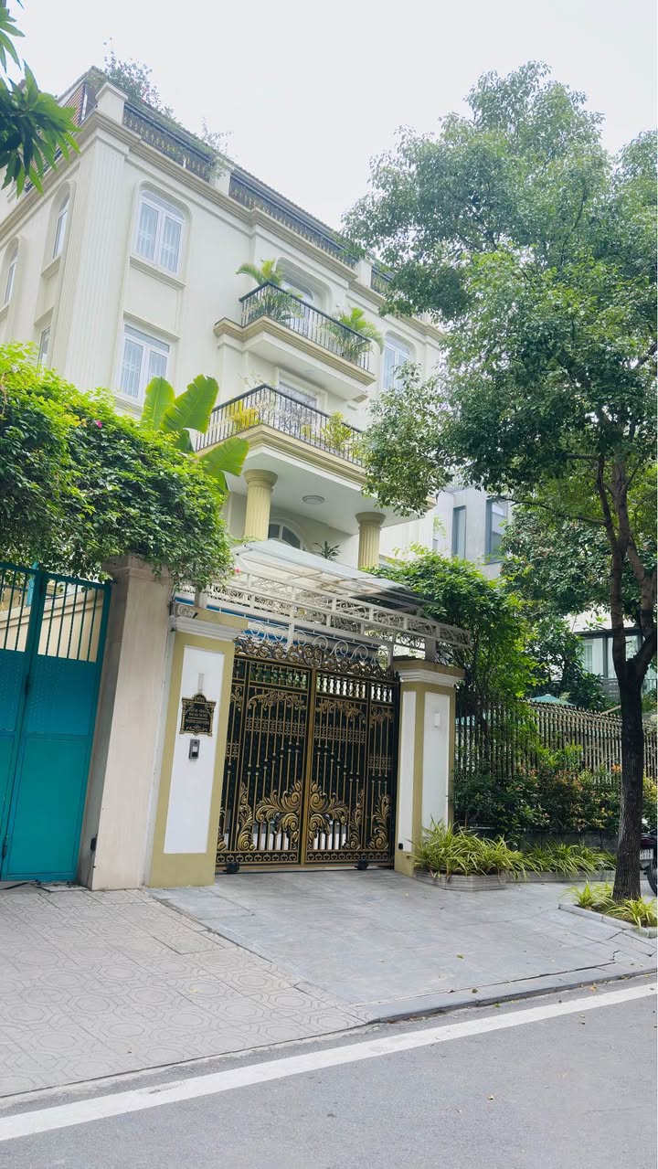 Biệt thự đơn lập phố Thành Thái, 307m² - Giá thương lượng hấp dẫn!