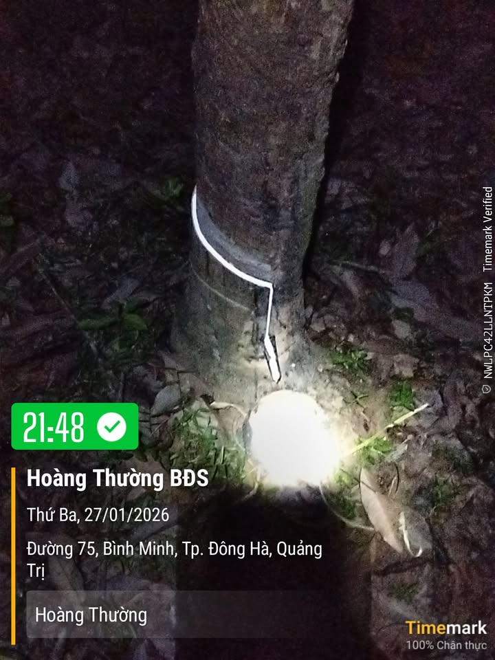 Đất Farm 1,7 hecta tại thôn Tân Lịch, Gio Linh - Giá thỏa thuận hấp dẫn!