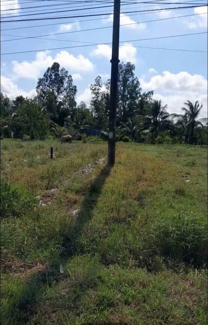 Đất nền mặt tiền Quốc lộ 60, Huyện Long Phú, 150m² giá 850 triệu - Cơ hội đầu tư hấp dẫn!